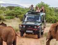 Safari Tour